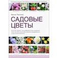russische bücher: Пескова И. - Садовые цветы