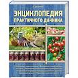 russische bücher: Елена Вечерина - Энциклопедия практичного дачника