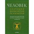 russische bücher: Батуев А. - Человек. Анатомия, физиология, психология. Энциклопедический иллюстрированный словарь