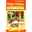 russische bücher: Баженов В. - Грибы-убийцы недугов и болезней