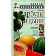 russische bücher: Лебедева А. - Арбузы и дыни