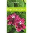 russische bücher: Пузырева Г. - Стрептокарпусы