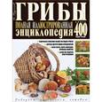 russische bücher:  - Грибы. Полная иллюстрированная энциклопедия