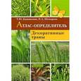 russische bücher: Коновалова Т. Шевырева Н. - Декоративные травы