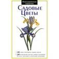 russische bücher:  - Садовые цветы