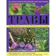 russische bücher: Гудрет Д. - Травы. Иллюстрированный справочник