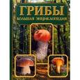 russische bücher: Антонин В. - Грибы. Большая энциклопедия.