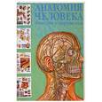 russische bücher: Махиянова Е. - Анатомия человека. Болезни и нарушения