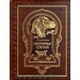 russische bücher: Сабанеев Л.П. - Охотничьи собаки (подарочное издание)