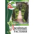 russische bücher: Иванова - Хвойные растения. Том 21