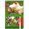 russische bücher: Сергиенко Ю.В. - Куры. Разведение и уход