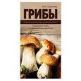 russische bücher: Сергеева М. - Грибы. Карманный атлас-определитель