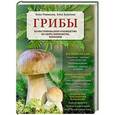russische bücher: Анна Романова, Алла Булатова - Грибы. Иллюстрированное руководство по сбору, переработке, хранению