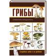 russische bücher: Сергеева М.Н. - Грибы. Ягоды и плоды. Справочник-определитель