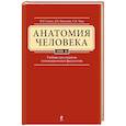 russische bücher: Клочкова Серафима Витальевна - Анатомия человека. Учебник для студентов стоматологических факультетов в 3 томах. Том 2