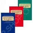 russische bücher: Михаил Сапин, Дмитрий Никитюк, Серафима Клочкова - Анатомия человека. Учебник для студентов стоматологических факультетов. В 3 томах