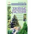 russische bücher: Неретина М. - Хвойные растения