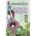 russische bücher: Иванова З. - Экзотические лианы
