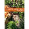 russische bücher: Карписонова - Почвопокровные растения
