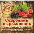russische bücher: Замулина Т.,Молодцова Т. - Смородина и крыжовник. Выращивание, хранение и заготовка, целебные свойства