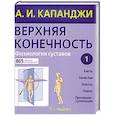 russische bücher: Капанджи А.И. - Верхняя конечность. Физиология суставов