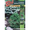russische bücher: Ван дер Неер - Все о садовых хвойных растениях