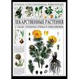 russische bücher:  - Большая иллюстрированная энциклопедия. Лекарственные растения
