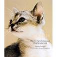 russische bücher: Тамсин Пикерел - Кошки. Иллюстрированная энциклопедия