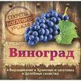 russische bücher: Замулина Т.,Молодцова Т. - Виноград. Выращивание. Хранение и заготовка. Целебные свойства