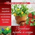 russische bücher: Полякова Е. - Лечебные травы и ягоды
