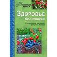 russische bücher: Полякова Е. - Здоровье без аптеки. Гипертония, гастрит, артрит, диабет