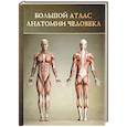 russische bücher: Редактор: Карпенко Т. Н. - Большой атлас анатомии человека