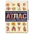 russische bücher: Карпенко Т. - Большой иллюстрированный атлас анатомии человека