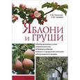 russische bücher: Чечеткин Р. - Яблони и груши