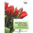 russische bücher: Титчмарш А. - Луковичные растения. Иллюстрированный справочник