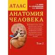 russische bücher: Билич Г. - Анатомия человека. Атлас. В 3-х томах. Том 2. Внутренние органы