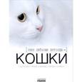 russische bücher: Шейкина Е. - Наши любимые питомцы - кошки