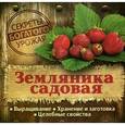 russische bücher: Татьяна Замулина, Татьяна Молодцова - Земляника садовая. Выращивание. Хранение и заготовка. Целебные свойства