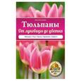 russische bücher: Белякова Анна - Тюльпаны. От луковицы до цветка