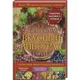 russische bücher: Ульрих Г. - Выращиваем вкусный виноград для себя. Справочник виноградаря и винодела