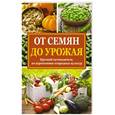russische bücher: Севостьянова Н.Н. - От семян до урожая