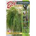 russische bücher: Ян Ван дер Неер - Все о нефролеписе. Полное руководство