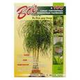 russische bücher: Ян Ван дер Неер - Все о 100 самых популярных комнатных растениях