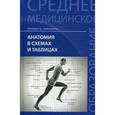 russische bücher: Горелова Л.В. - Анатомия в схемах и таблицах: Учебное пособие.
