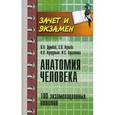 russische bücher: Думбай В.Н. - Анатомия человека: 100 экзаменационных ответов: Учебное пособие.