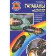 russische bücher: Хлусов П.М. - Тараканы с острова Мадагаскар. Опыт успешного содержания и разведения в домашних условиях