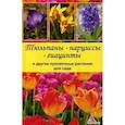 russische bücher: Васильева Я.В. - Тюльпаны, нарциссы, гиацинты и другие луковичные растения для сада