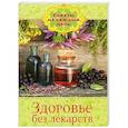 russische bücher: Платонова Е. - Здоровье без лекарств