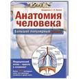 russische bücher: Г. Билич - Анатомия человека. Большой популярный атлас