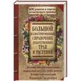russische bücher: Гречаный И. - Большой иллюстрированный справочник лекарственных трав и растений. 600 рецептов и секретов потомственного травника